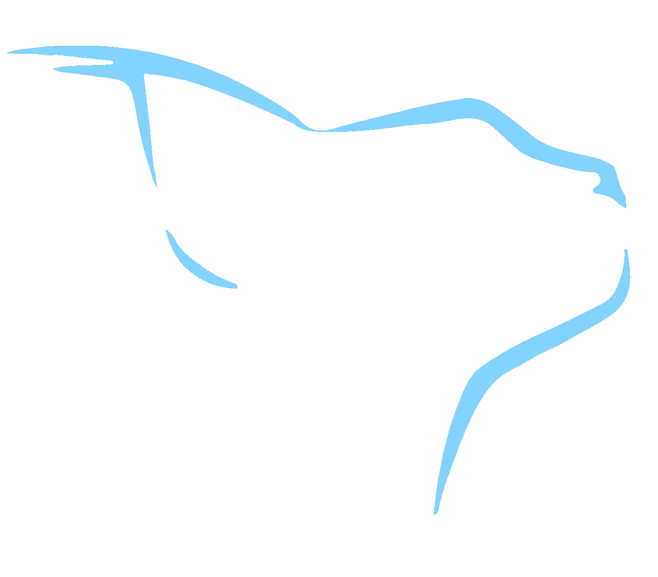 LYNX